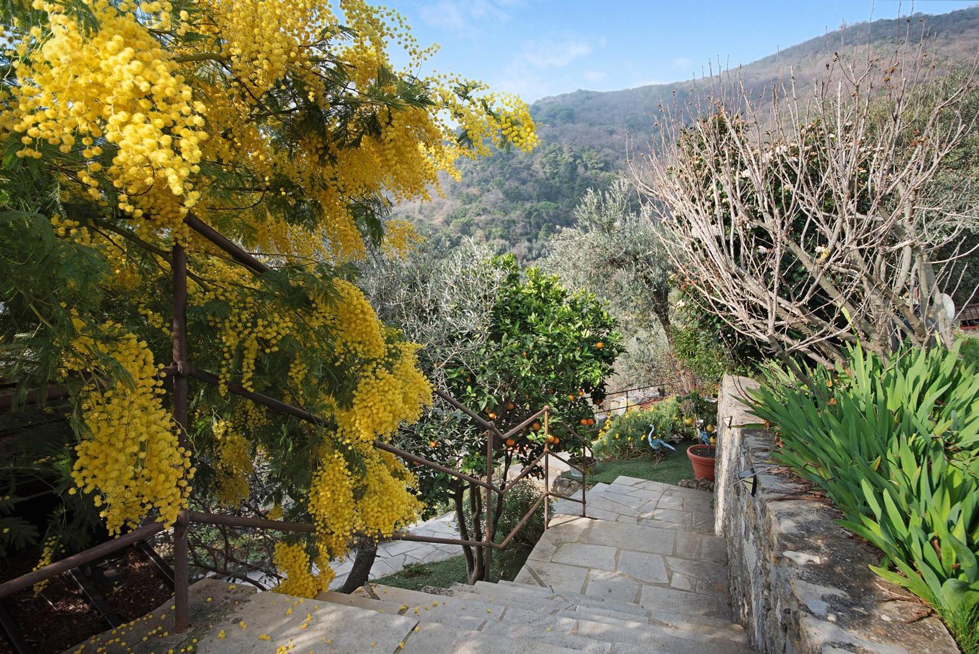 Ca' Du Massunin Apartment Recco Bagian luar foto